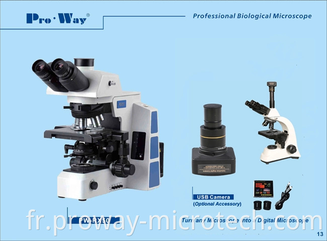 Composé trinoculaire professionnel Microscope biologique de Siedentopf (PW-RX50)